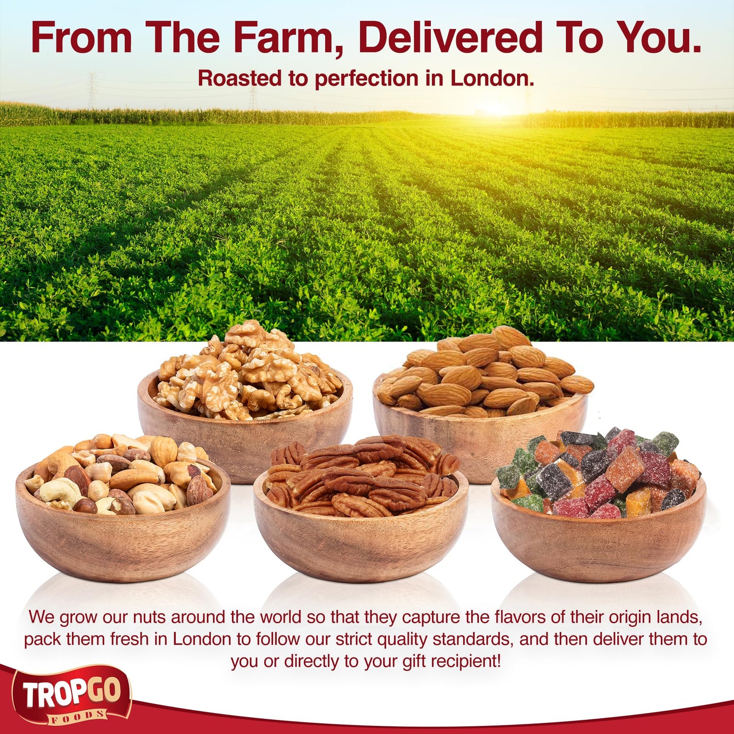 Tropgo 5 Sections Mixed Nuts Gift Set – Delicious Almonds, Walnuts, Cashews, Sweet Mango Cubes & Raw Pecans Mixed Nuts Snacks – Red Congratulations Card Snack Box