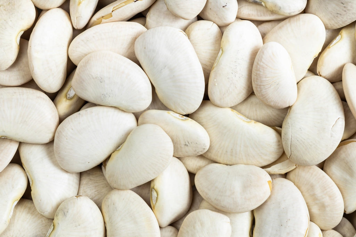 Premium Butter Beans 2.5kg – Large, Creamy White Beans – Ideal for Soups, Stews, Salads, Casseroles & Meal Prep – High in Protein & Fibre – Bulk Catering Pack