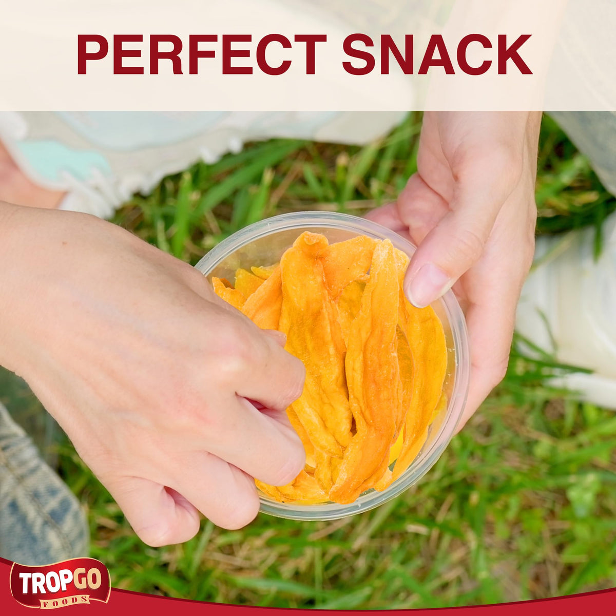 Tropgo Soft Cantaloupe Spears 120g Natural Dried Fruit Snack - Parent