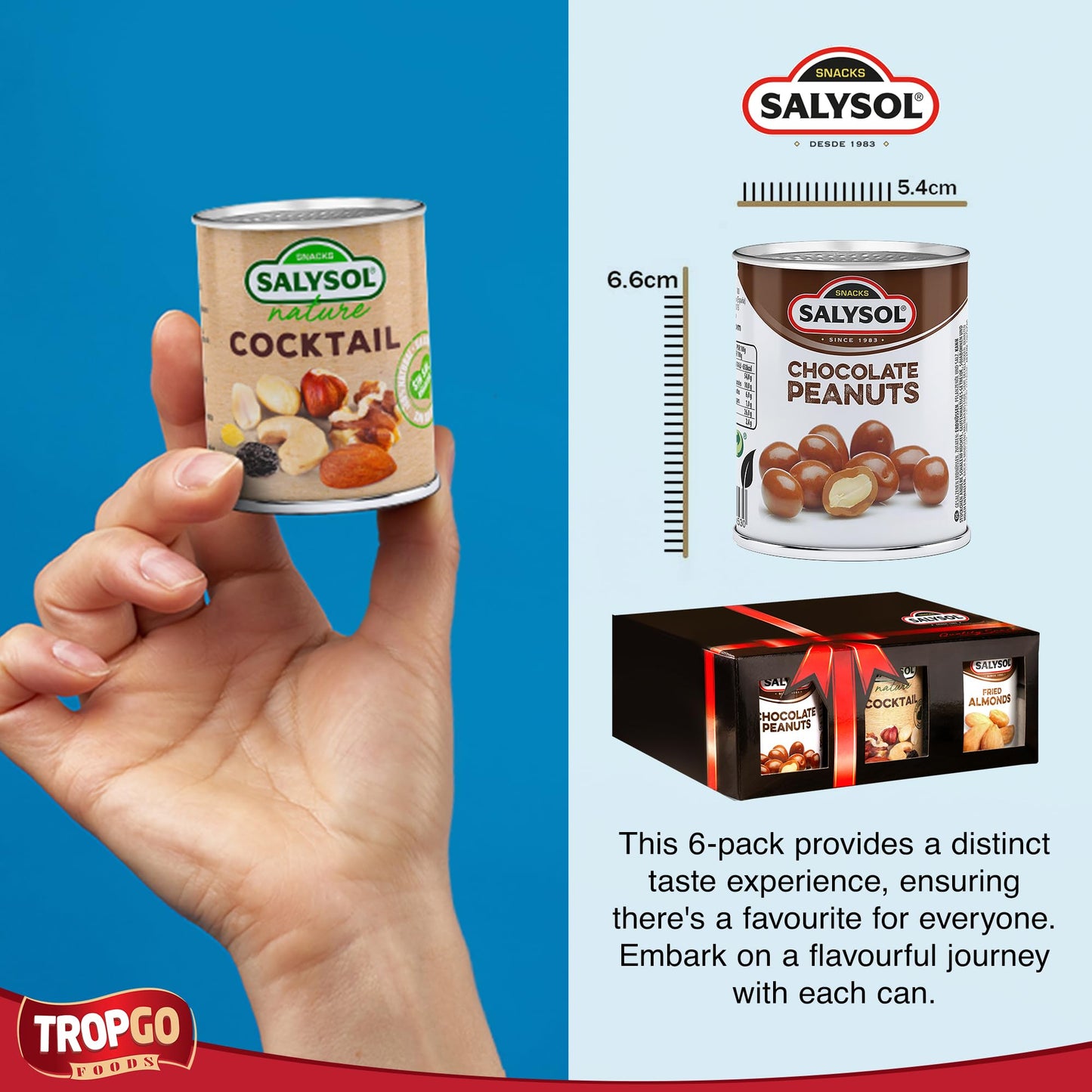 Salysol Snacks Nuts – Chocolate Peanuts, Nature Cocktail, Fried Almonds 6x50g – Chocolate Gift Box – Delicious Natural Nuts – Thoughtful Gift Sets for Him & Her