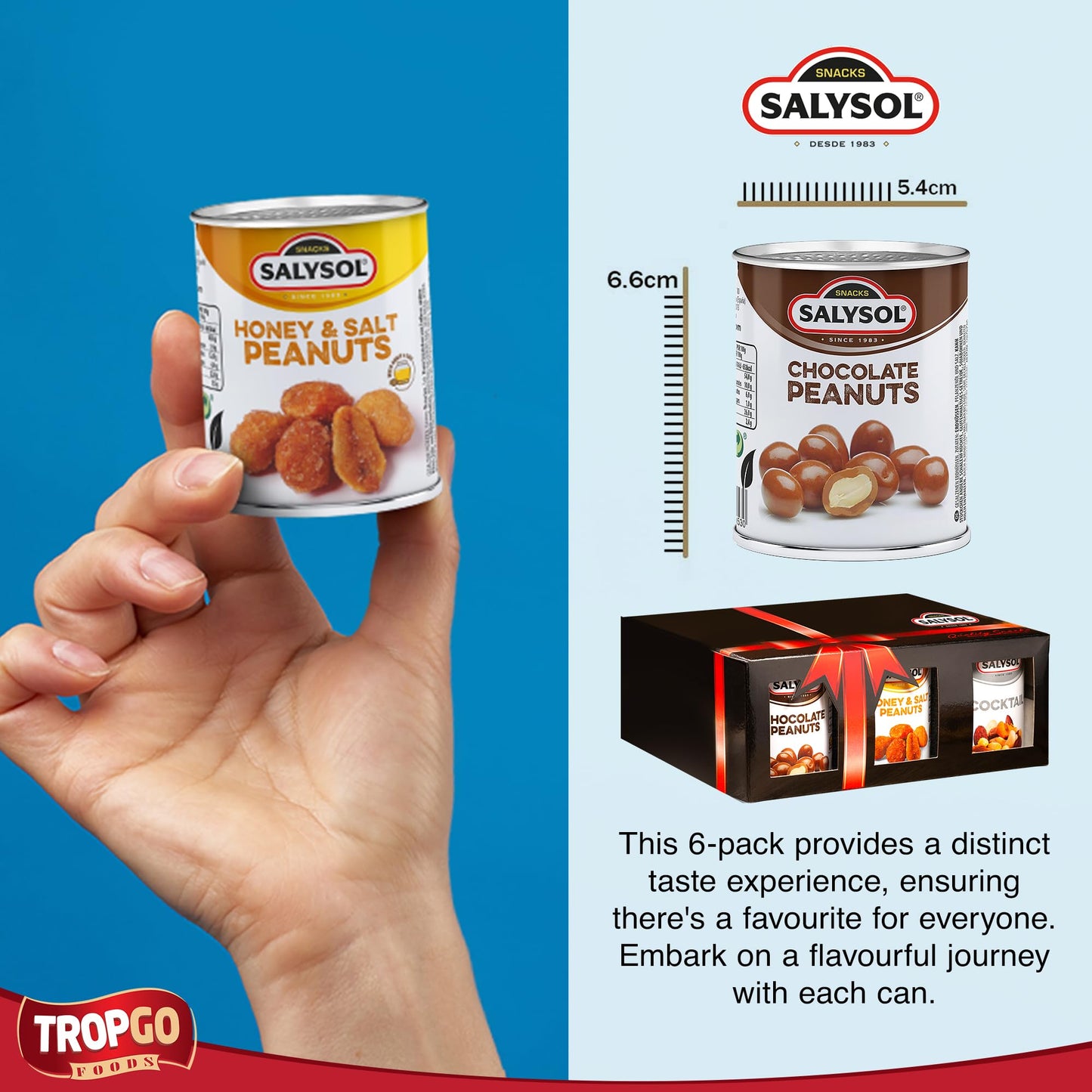 Salysol Snacks Nuts – Chocolate Peanuts, Honey Peanuts, Spicy Cocktail 6 x 50g – Chocolate Gift Box – Delicious Pure Natural Nuts – Thoughtful Gift Sets for Him and Her