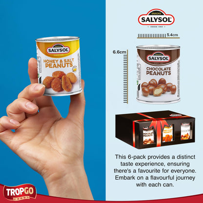 Salysol Snacks Nuts – Chocolate Peanuts, Honey Peanuts, Spicy Cocktail 6 x 50g – Chocolate Gift Box – Delicious Pure Natural Nuts – Thoughtful Gift Sets for Him and Her