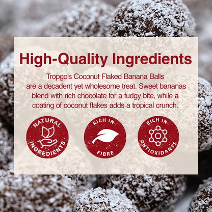 Tropgo Banana Balls with Coconut Flakes 12pcs – Made from Dried Banana, Coconut Milk, and Natural Ingredients - Parent