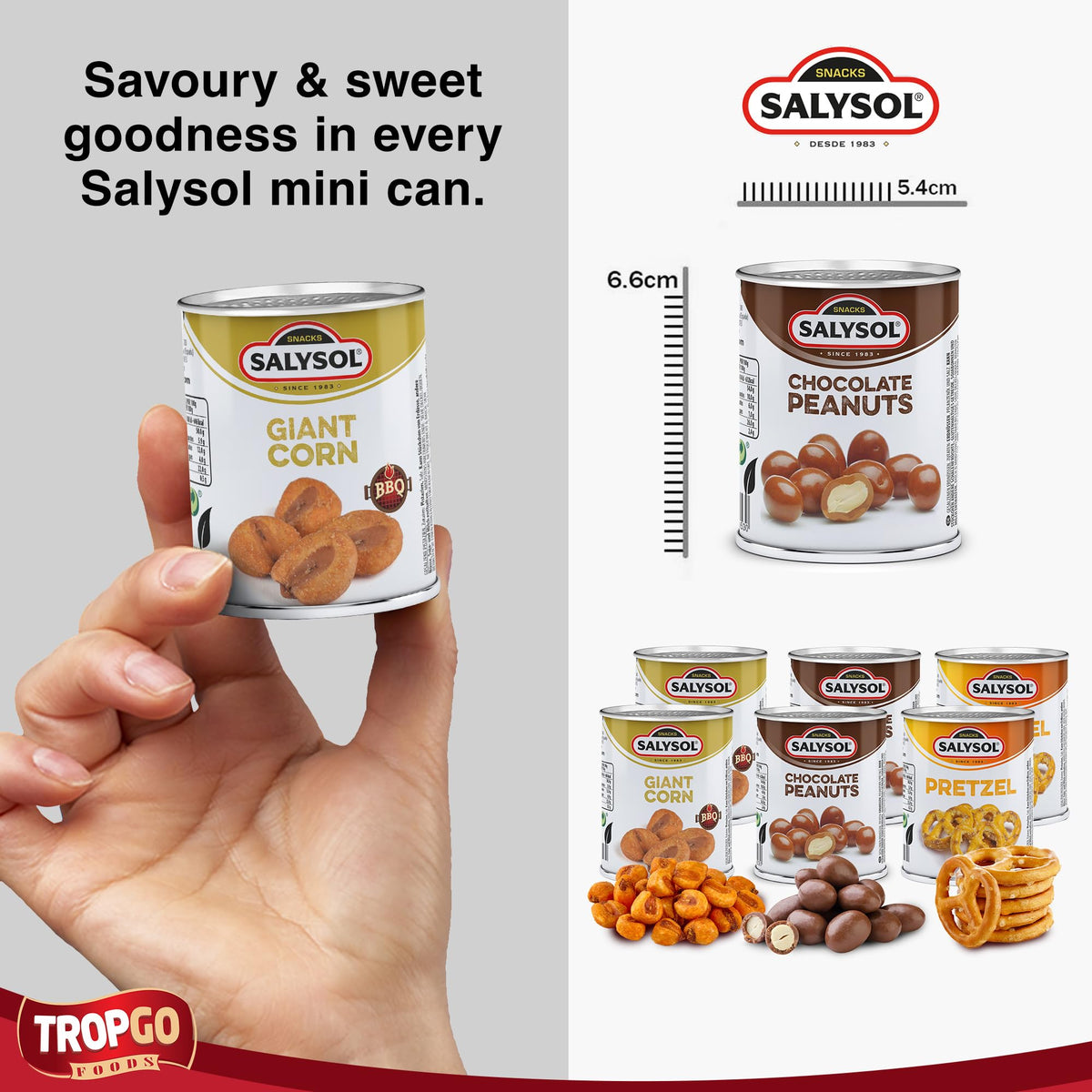 Salysol 6 Pack Mini Can Gift Snack Variety – 2 Salted Pretzel 25g, 2 BBQ Giant Corn 30g, 2 Chocolate Peanuts 50g – Gift Box Snack Set for Men and Women