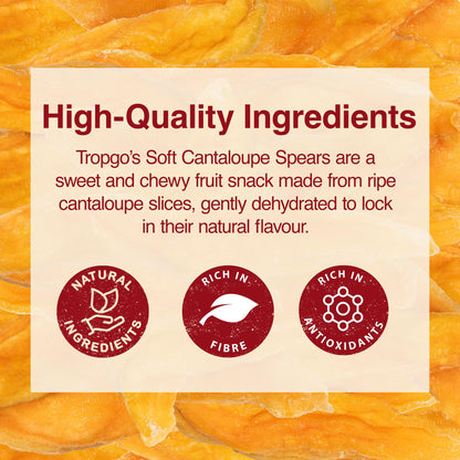 Tropgo Soft Cantaloupe Spears 120g Natural Dried Fruit Snack - Parent