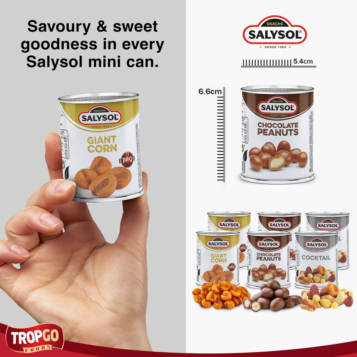 Salysol 6 Pack Mini Can Snack Variety – 2 BBQ Giant Corn 30g, 2 Chocolate Peanuts 50g, 2 Spicy BBQ Cocktail 50g – Gift Box Snack Set for Men and Women